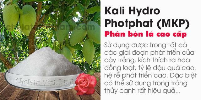 Kali Hydro Photphat (MKP, KH2PO4) bón lá